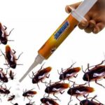 مكافحة الحشرات والنمل الابيض والصراصير والنمل بالدمام (3)